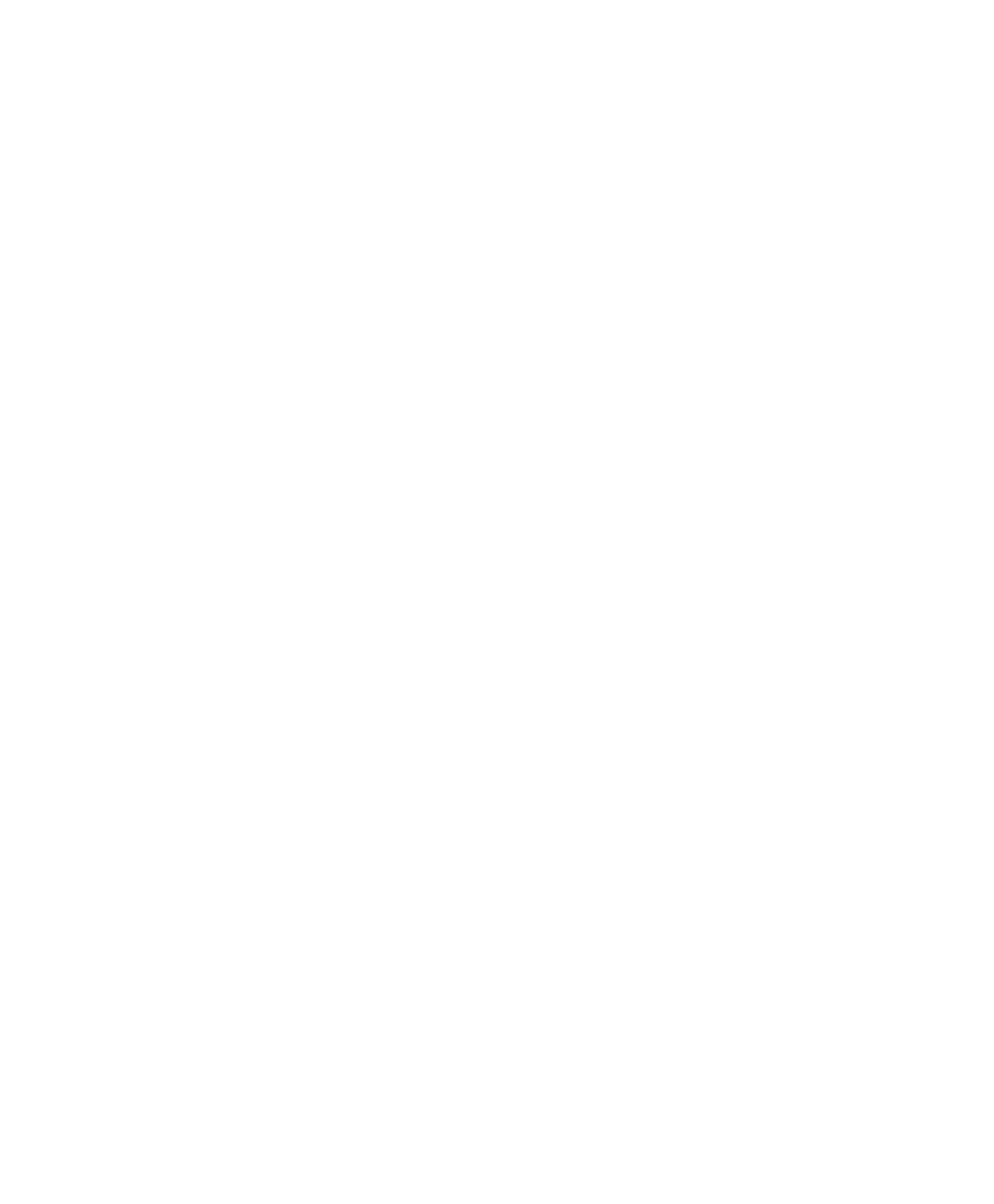 Two Little Birds logo